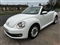 Volkswagen Beetle Image 1