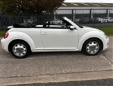 Volkswagen Beetle Image 3