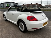 Volkswagen Beetle Image 4