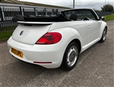 Volkswagen Beetle Image 5