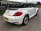 Volkswagen Beetle Image 5
