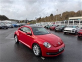 Used Volkswagen Beetle