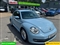 Volkswagen Beetle Image 2