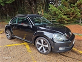 Used Volkswagen Beetle