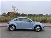 Volkswagen Beetle Image 5