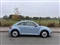 Volkswagen Beetle Image 5