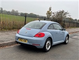 Volkswagen Beetle Image 6
