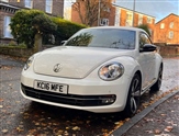 Volkswagen Beetle Image 3