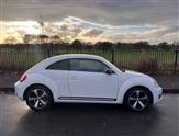 Volkswagen Beetle Image 5