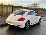 Volkswagen Beetle Image 6