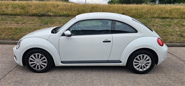 Large image for the Used Volkswagen Beetle
