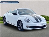 Volkswagen Beetle Image 1
