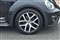 Volkswagen Beetle Image 1