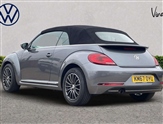 Volkswagen Beetle Image 4