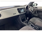 Volkswagen Beetle Image 2