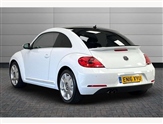 Volkswagen Beetle Image 3