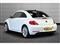 Volkswagen Beetle Image 3