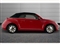 Volkswagen Beetle Image 10