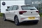 Volkswagen Polo Image 3
