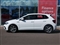 Volkswagen Polo Image 5