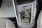 Volkswagen Polo Image 10