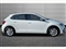 Volkswagen Polo Image 4