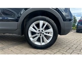 Volkswagen T-Cross Image 5