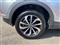 Volkswagen T-Roc Image 6