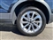 Volkswagen T-Roc Image 6