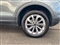 Volkswagen T-Roc Image 6