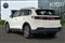 Volkswagen Tiguan Image 3