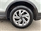Volkswagen Tiguan Image 6