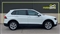 Volkswagen Tiguan Image 2