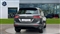 Volkswagen Tiguan Image 10