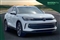 Volkswagen Tiguan Image 1