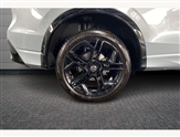 Volkswagen Tiguan Image 5