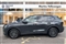 Volkswagen Tiguan Image 4