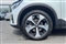 Volvo XC40 Image 5
